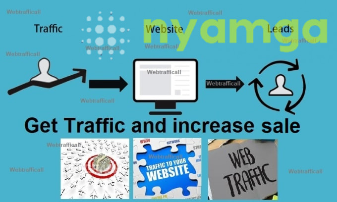 5827I will Analyze and bring traffic to your website